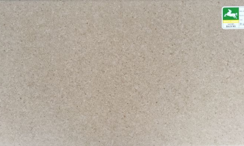 Gạch ốp tường 300x600 mm   H36025