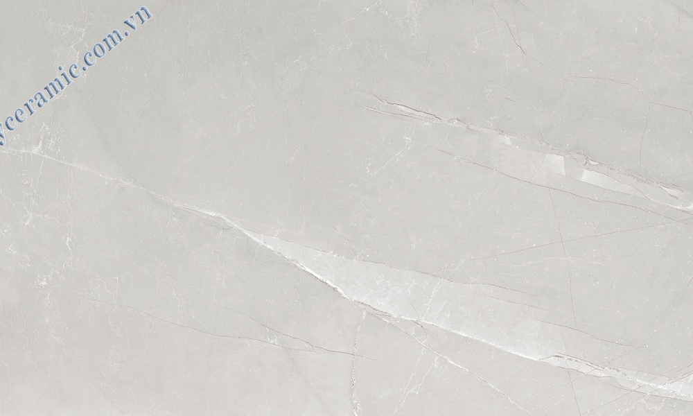Gạch 60x120cm Ý Mỹ P6128006