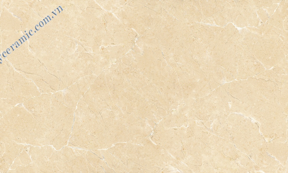 Gạch 60x120cm Ý Mỹ P6128009
