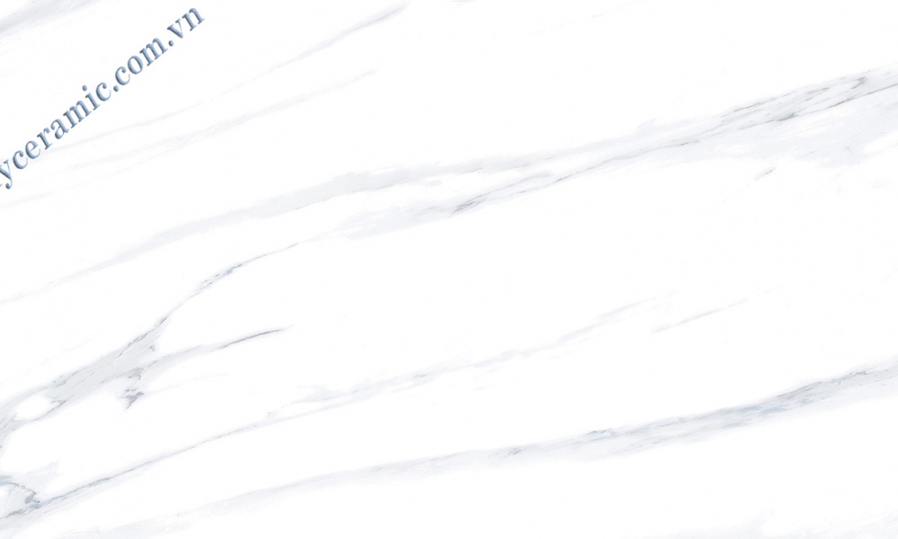 Gạch Ý Mỹ 60x120cm P612810R