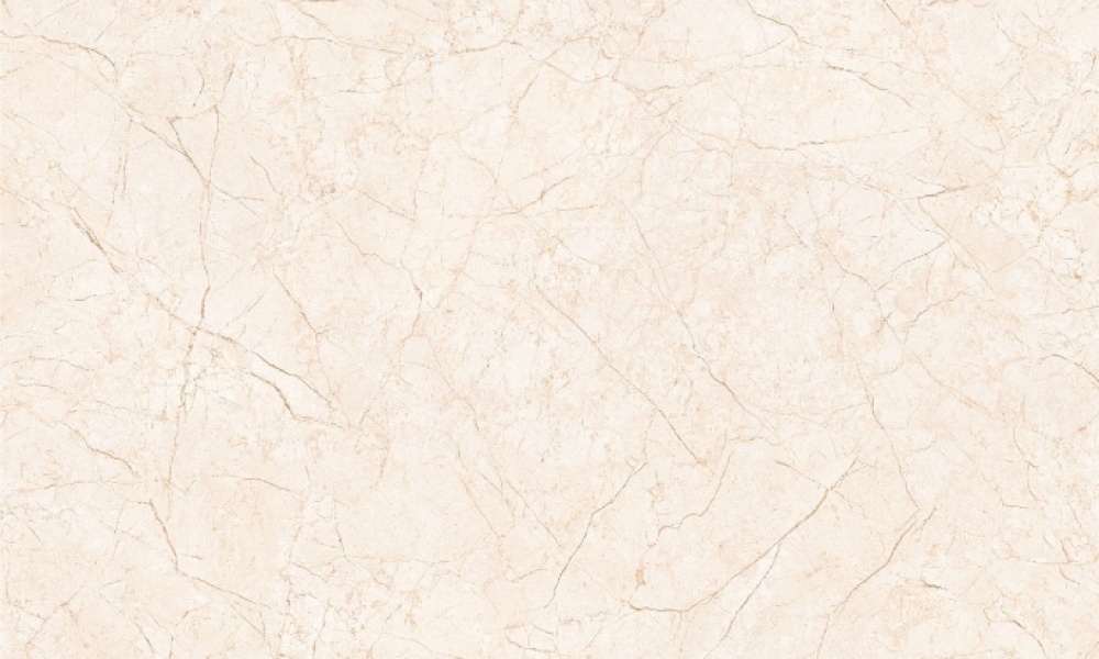 Gạch TTC 60x60cm bóng kính PN66005