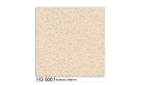 Gạch lát nền 600x600 mm  HG6001