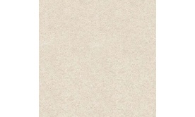 Gạch lát nền 600x600 mm   M6001