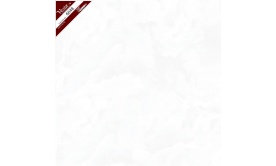 Gạch lát nền VESTA 600x600mm 6648