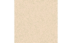 Gạch lát nền 600x600 mm  HG6004