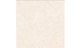 Gạch TTC 60x60cm bóng kính PN66005