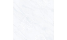 Gạch TTC 60x60cm bóng kính PN66006