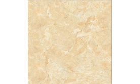 Gạch lát nền TTC 60x60 bóng kính PN66025