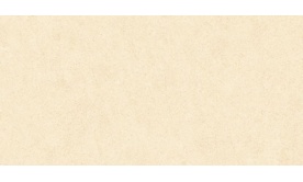 Gạch ốp tường 300x600 mm   H36011