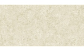 Gạch ốp tường 300x600 mm H36008