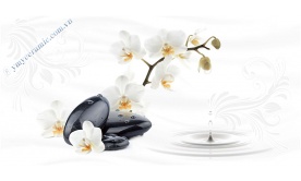 Gạch ốp tường 300x600 mm  Y36025D
